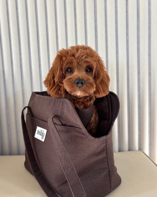🌅 Adopt Rosie