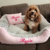 IMG_3237 🐾 Meet Rosie