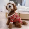 🏞️ Adopt Rufus