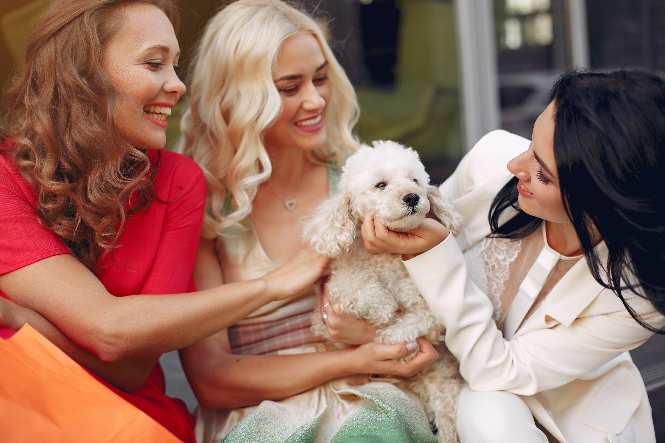 Three elegant women with little dog in a city
